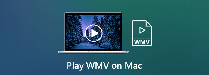 flip4mac wmv player for mac download